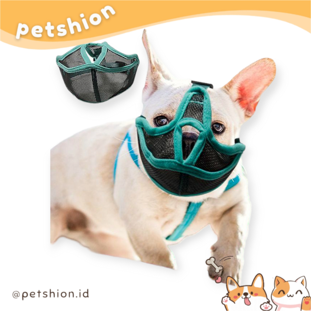 PETSHION | penutup mulut anjing pesek bulldog pug shihtzu dog muzzle