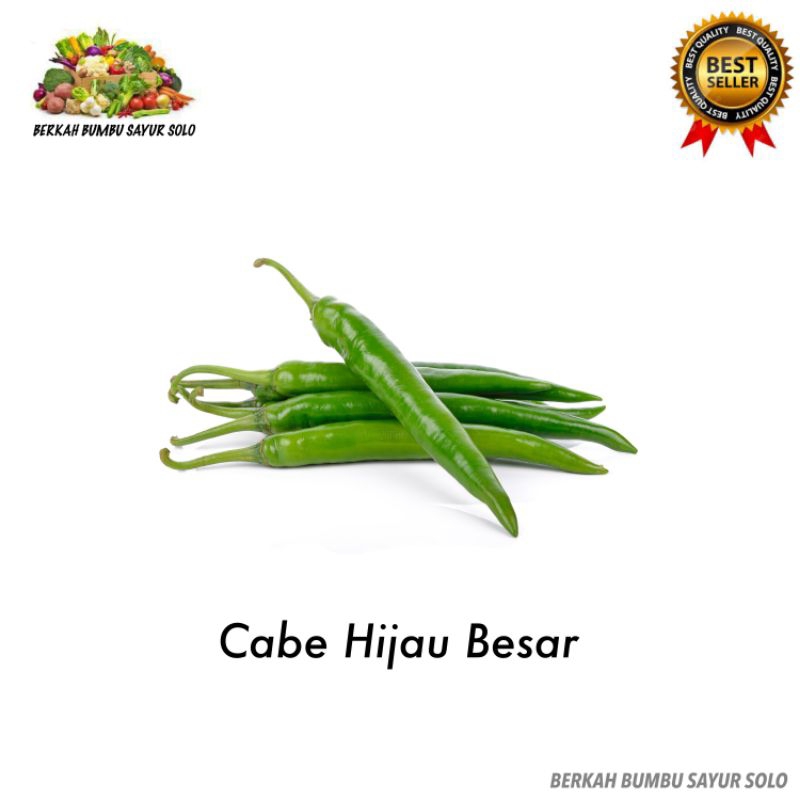

Cabe Hijau Teropong Cabai Hijau
