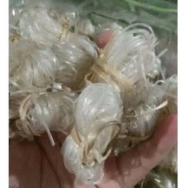 

SOUN GRONTOL / SOUN UNYIL / SOUN KECIL SEUKURAN JEMPOL TANGAN PRODUSEN TANGAN PERTAMA BERAT-+1kg