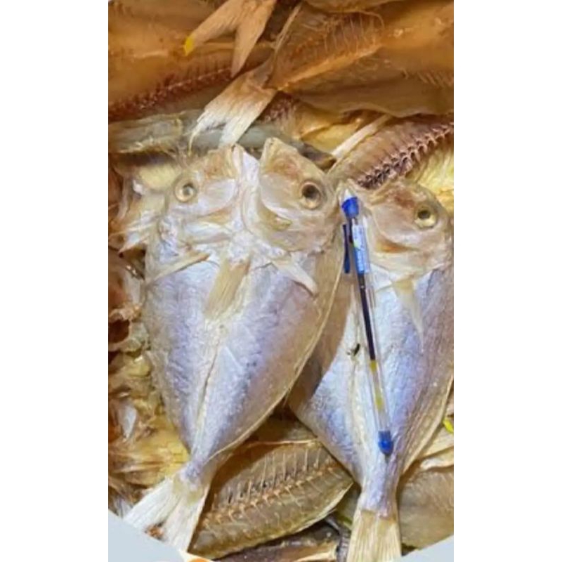

Ikan Asin Krisi