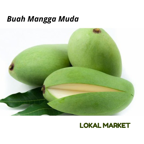 

Lokal Market | Buah Mangga Muda fresh 1kg