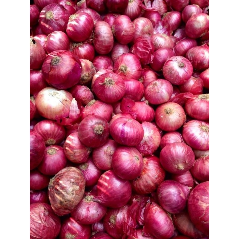 

Bawang Merah SUPER 1kg siapp kirim