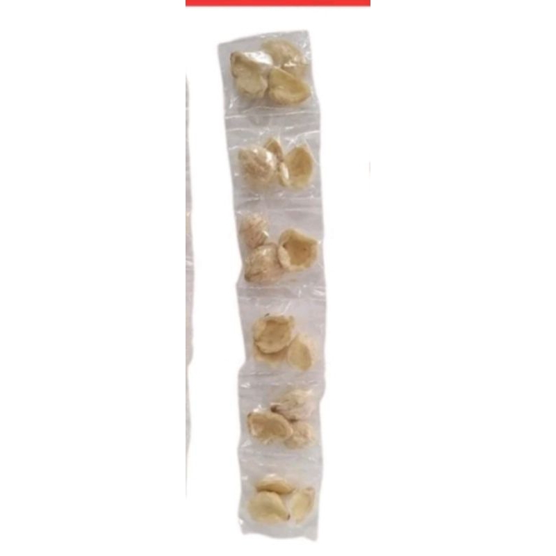 

Kemiri 1 Renceng isi 10pcs Rempah kemiri