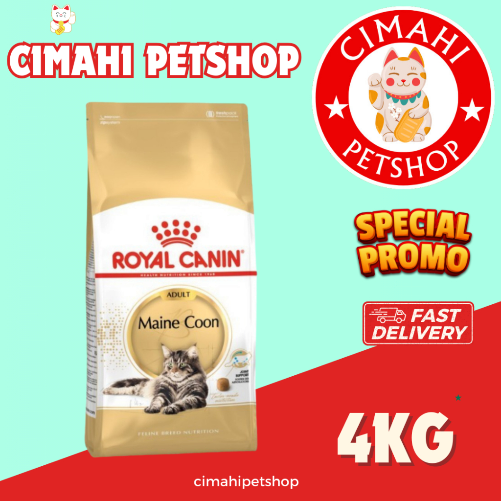 Royal Canin Maine Coon Adult 4kg