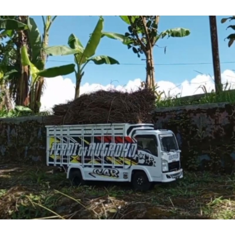 miniatur truk rc skala 1/10 jumbo