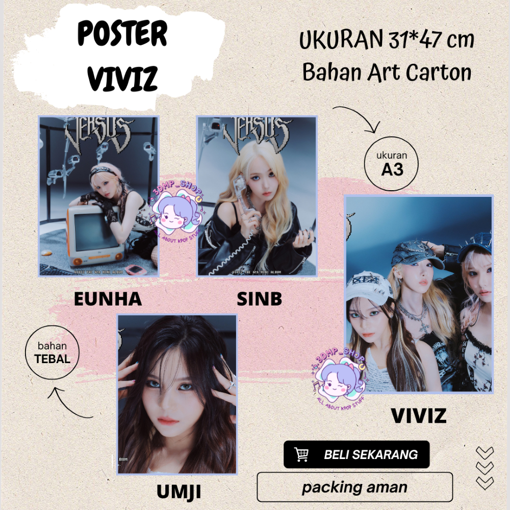 Poster A3 Viviz Versus