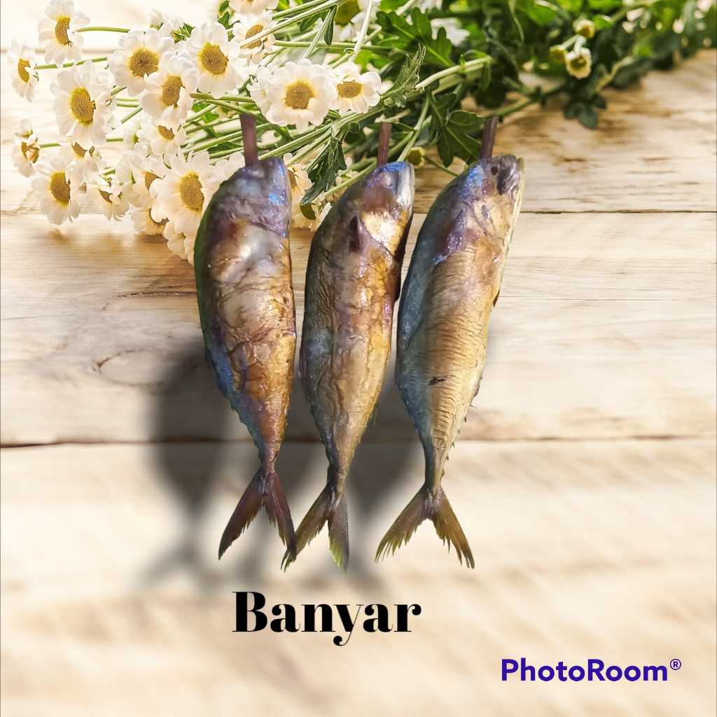 

IKAN BANYAR ASAP IKAN KEMBUNG ASAP