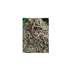 

teri paku fresh berkualitas 1kg