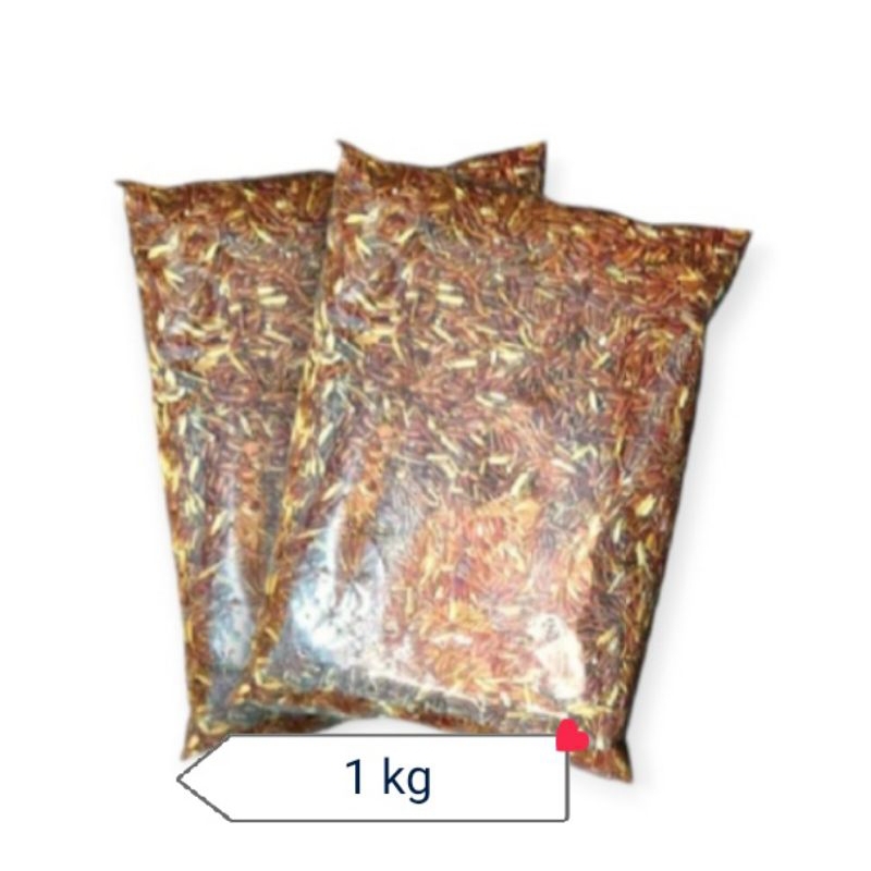 beras merah / pakan ayam bangkok / 1kg