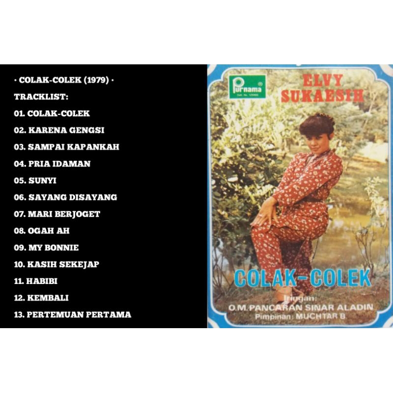 elvy sukaesih cd album colak colek 1979