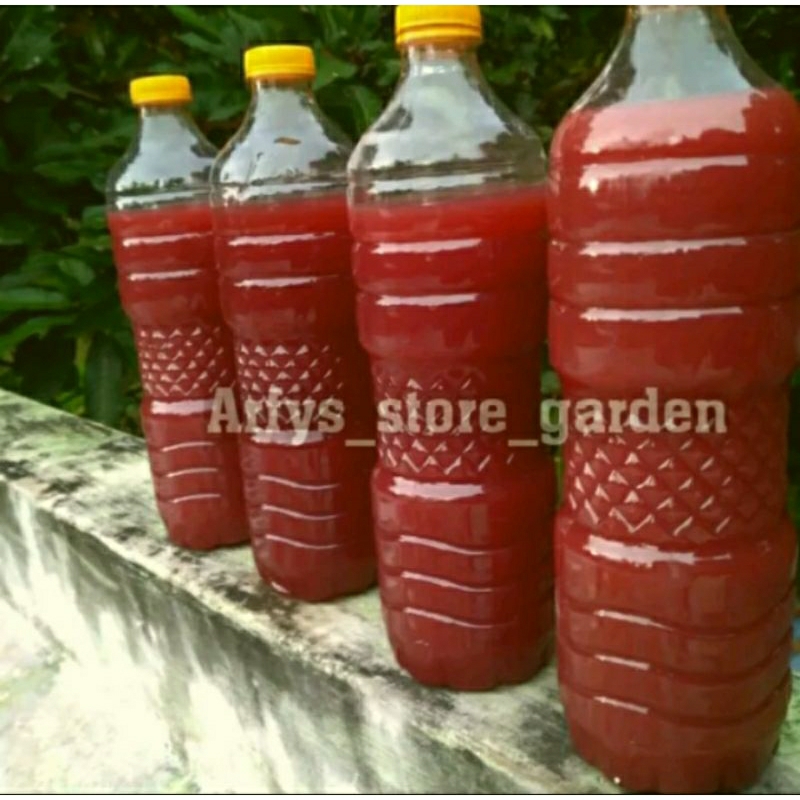 PSB fotosintesis 1 Liter