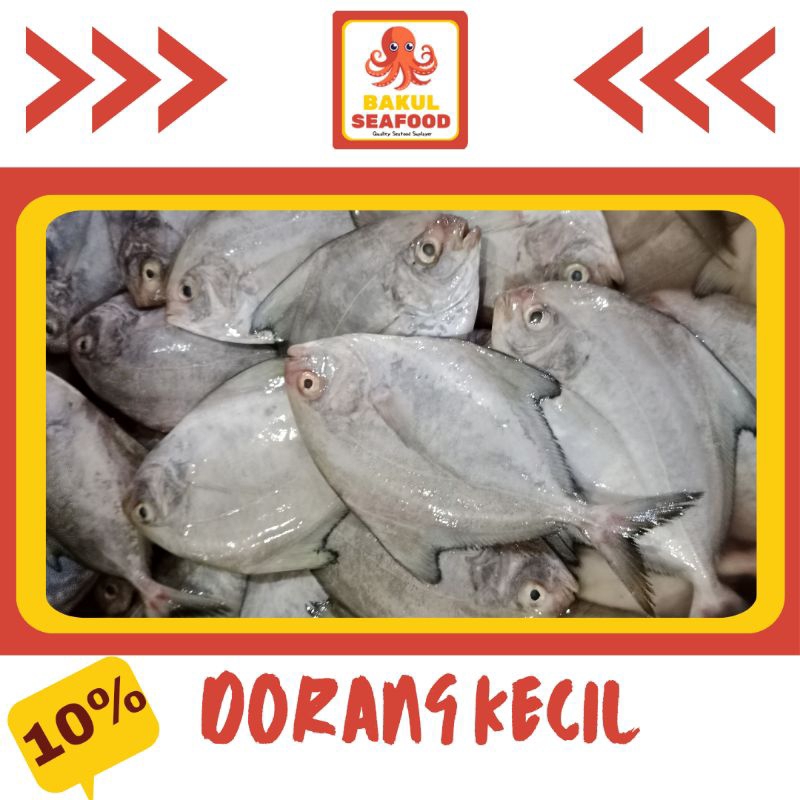 

DORANG KECIL 500gr-1000gr