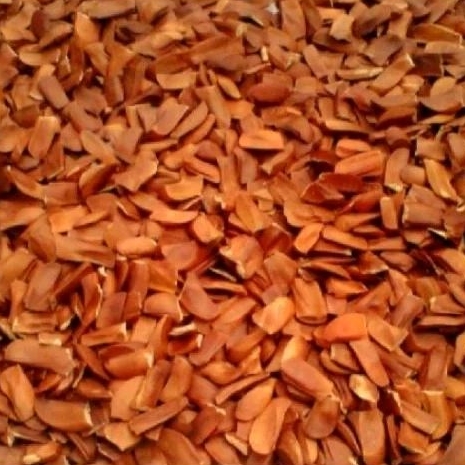 

Biji Mahoni Kemasan 100g