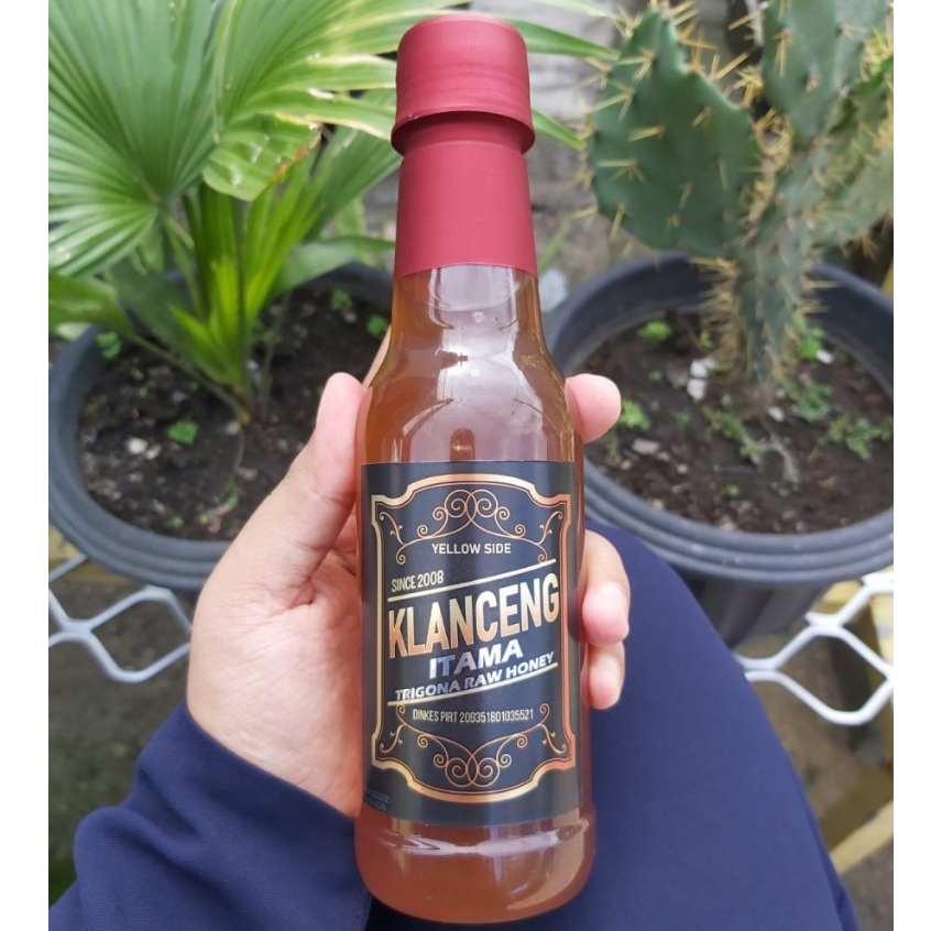 

Madu Lanceng Madu Klanceng Trigona Itama Raw Honey