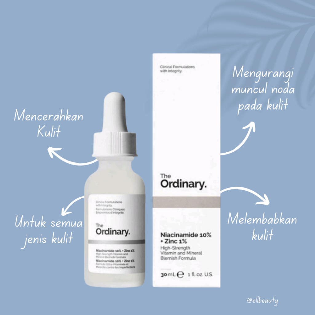 THE ORDINARY Niacinamide 10% + Zinc 1% 30ml BPOM 100% ORIGINAL