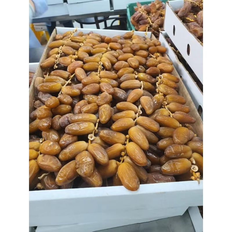 

kurma tunisia tangkai/palm 1kg fresh' pack plstik ccok dimakan buat sehari hari