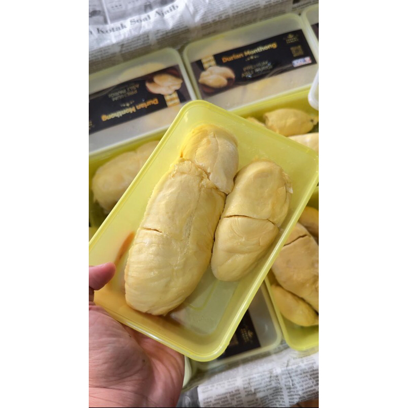 

BEST SELLER!!! NEW STOCK!! Montong Palu Parigi Sulawesi PREMIUM