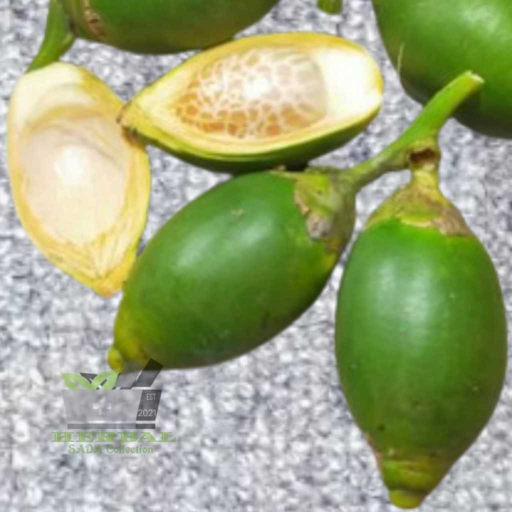 

Buah Pinang Utuh Buah Jambe Muda Isi 10 Buah