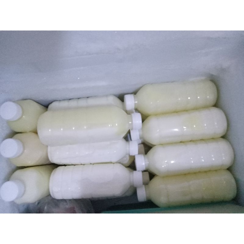 

Susu Kambing Etawa 100% murni