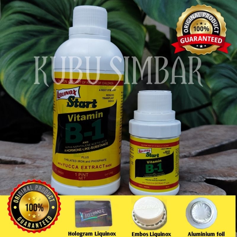 LIQUINOX VITAMIN B1