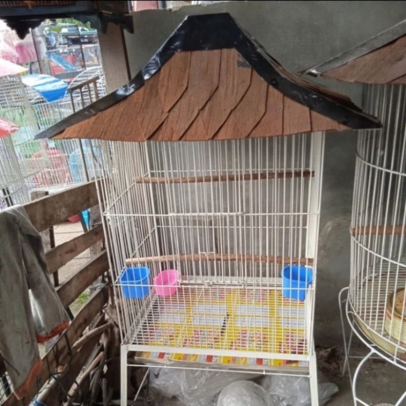Sangkar kandang burung jalak nuri beo ayam Kate dll