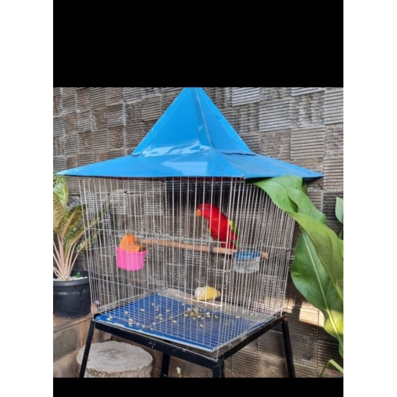 sangkar kandang burung Nuri jalak ayam Kate dll