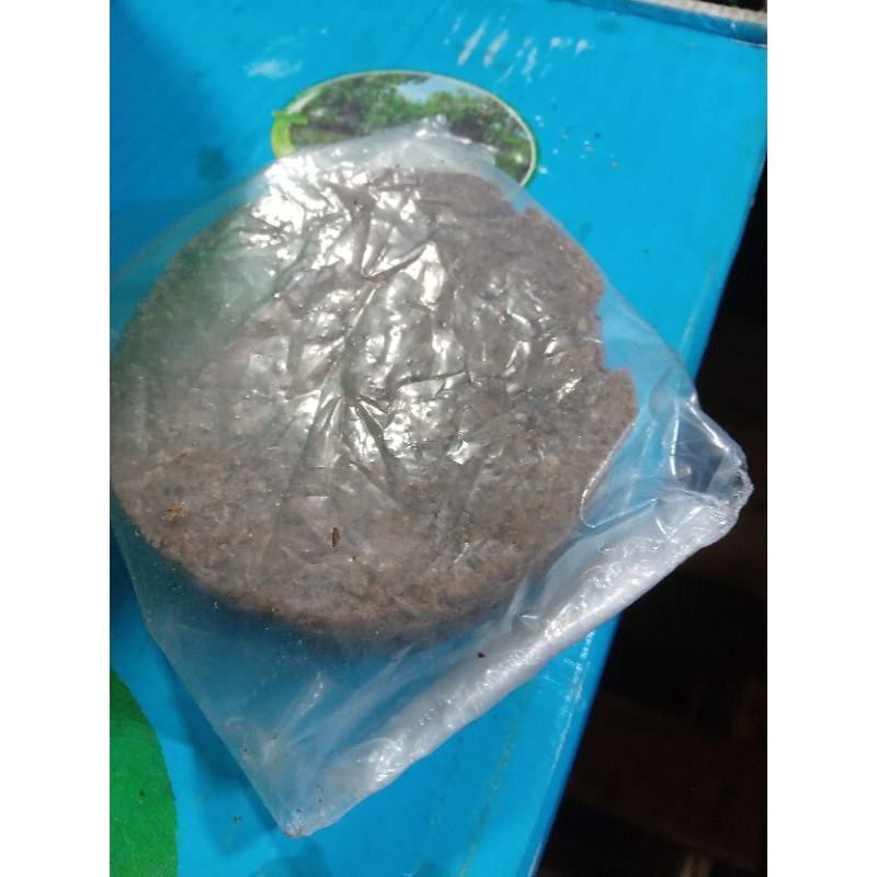 

TERASi LABUAN 200 GR