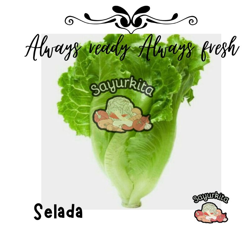 

selada per buah