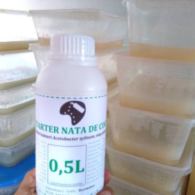 

Untuk Anda STARTER NATA DE COCO BIBIT NATA 5ml