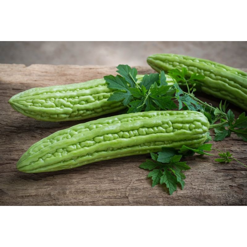 

sayur pare segar 500gr - 1kg