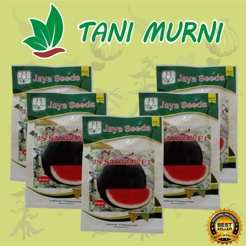 Benih Semangka Non Biji JS SALMAN F1 Jaya Seeds 20 Gram
