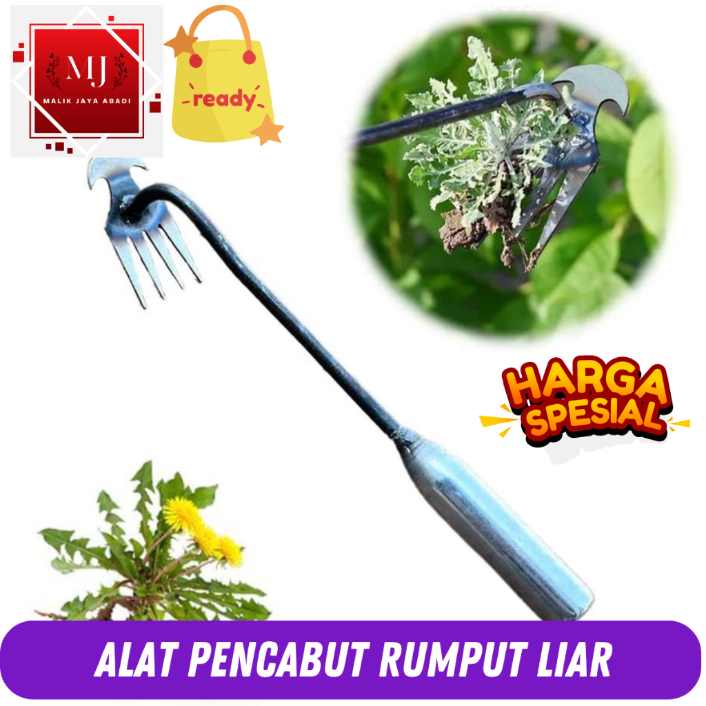 Pencabut Rumput Liar Sampai Akarnya / weeding garu gagang full besi