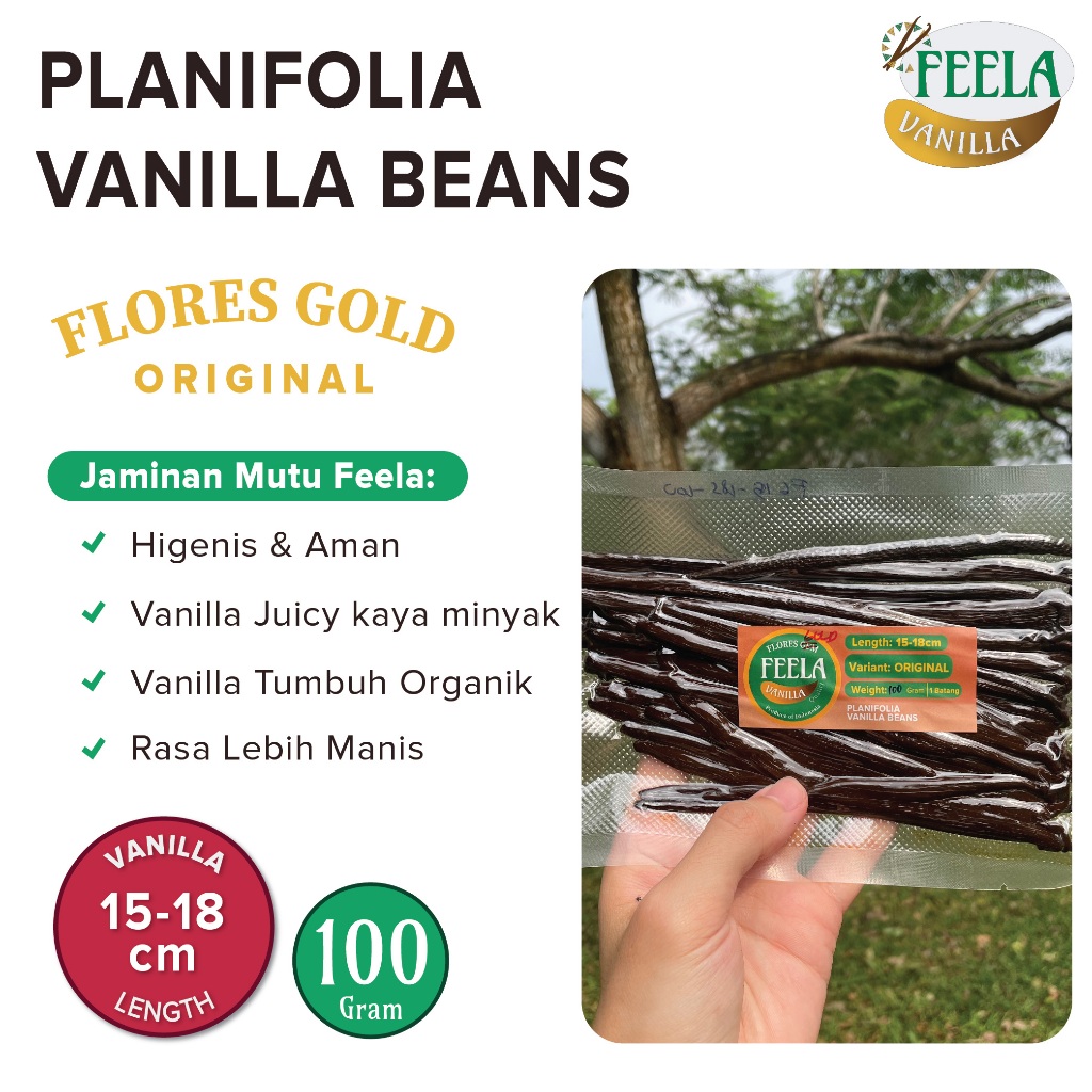 

Vanilla Beans Planifolia Grade A Flores Gold Original Panjang:15-18cm