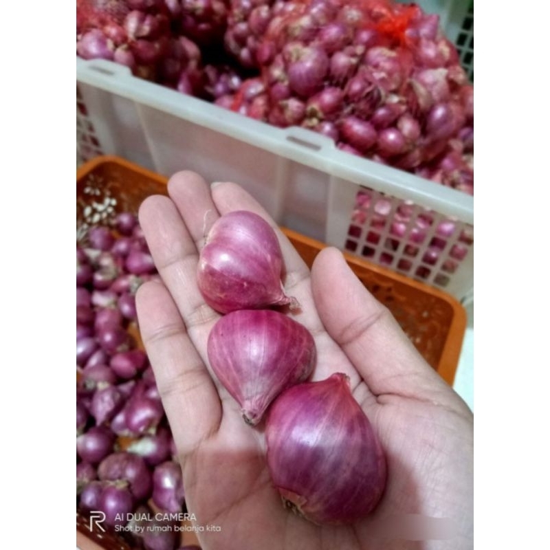 

BAWANG MERAH - BAWANG PUTIH