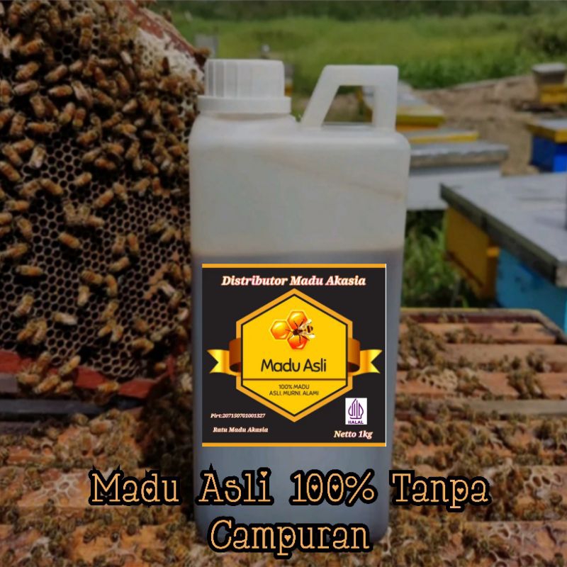 

Distributor Madu Akasia Murah dan Berkualitas MADU MURNI AKASIA ASLI 500ML 670G NUTRIFARM RIAU ZHARA HONEY JAMBI DARI BUMI 100% NATURAL HALAL TANPA CAMPURAN
