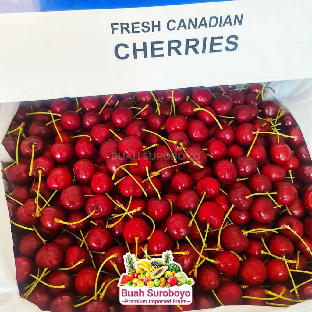 

Cherry Premium Canada