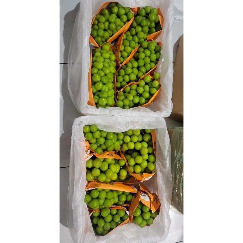 

Anggur Muscat