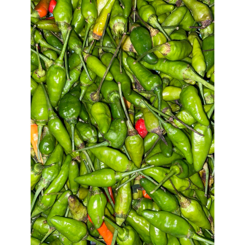 

CABE / CABAI RAWIT HIJAU 500 GRAM MURAH