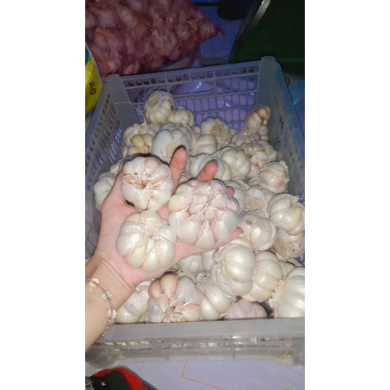 

bawang putih sinco 1kg