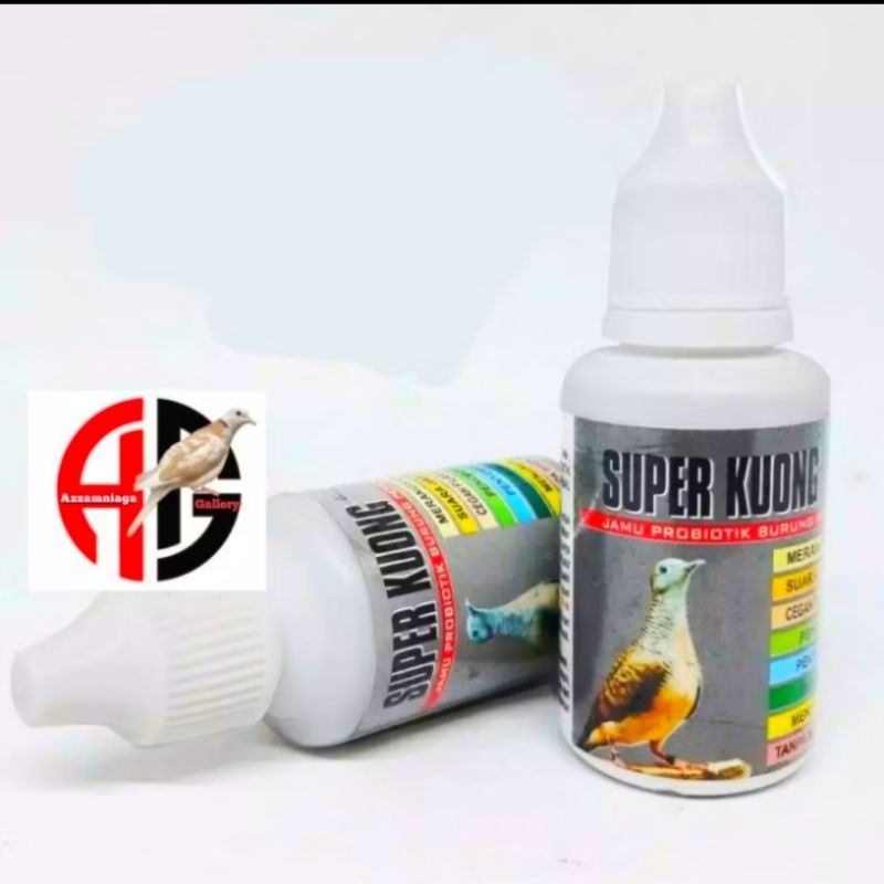 SUPER KUONG JAMU PERKUTUT SUPER KUONG JAMU GACOR PERKUTUT