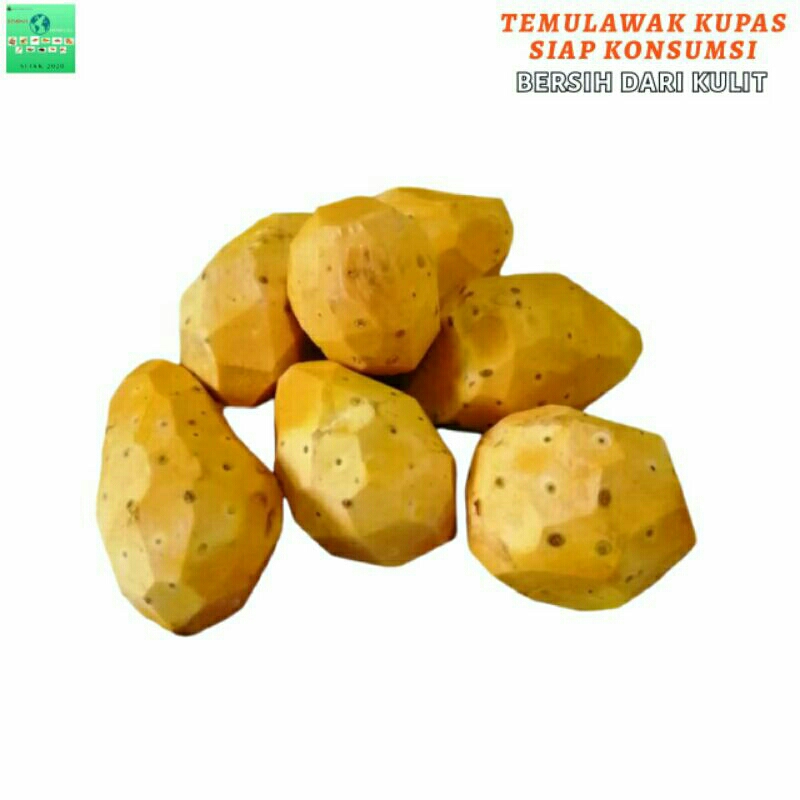 

Temulawak Kupas 1 Kg Bersih Siap Olah