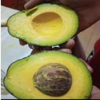 

AVOCADO MENTEGA