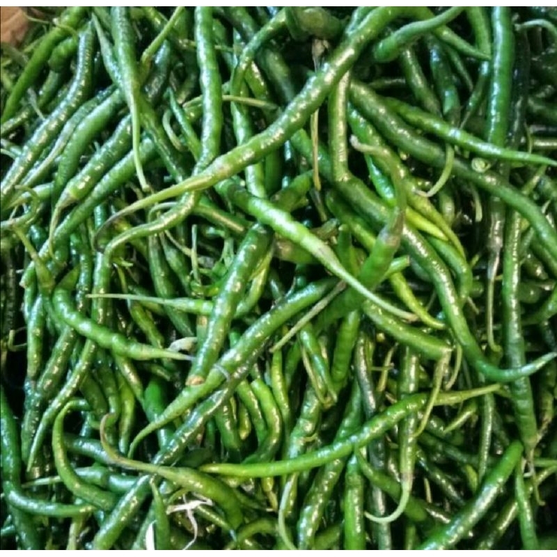 

CABE HIJAU KERITING 100 GR