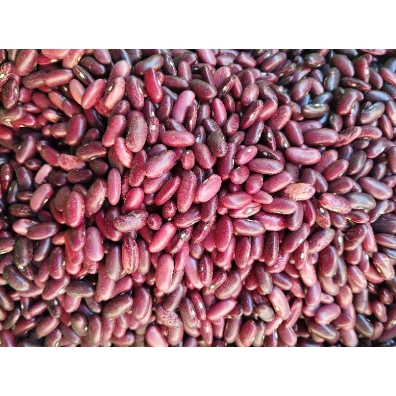 

kacang merah/ campe' 250 gr