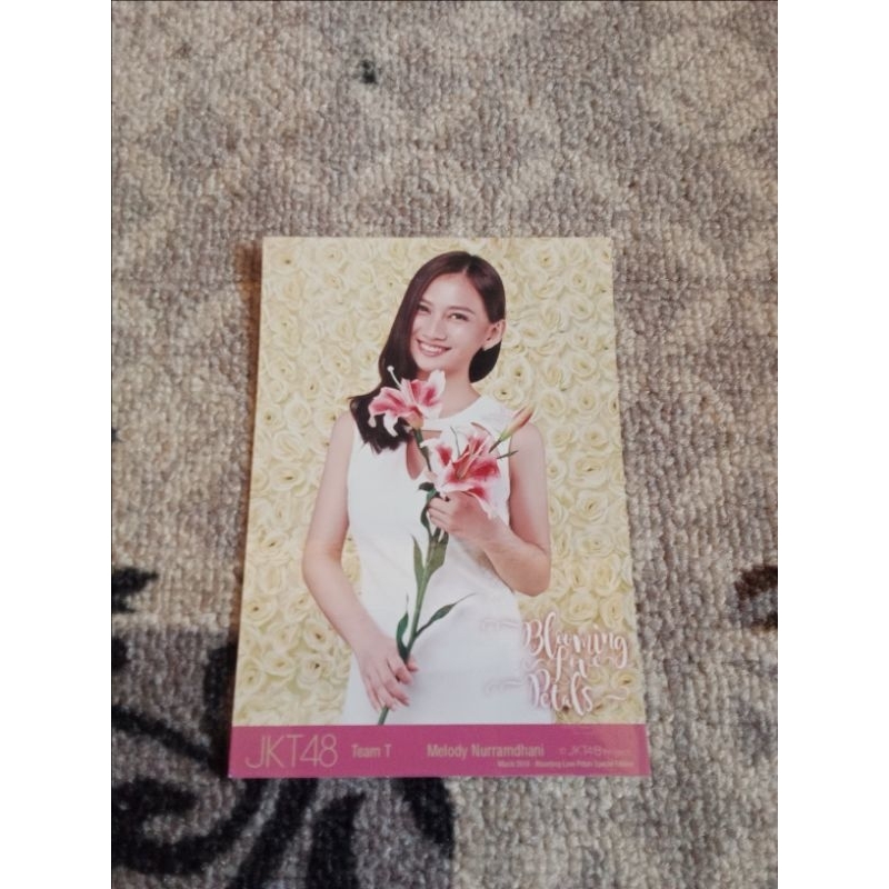 PHOTOPACK MELODY BLOOMING LOVE