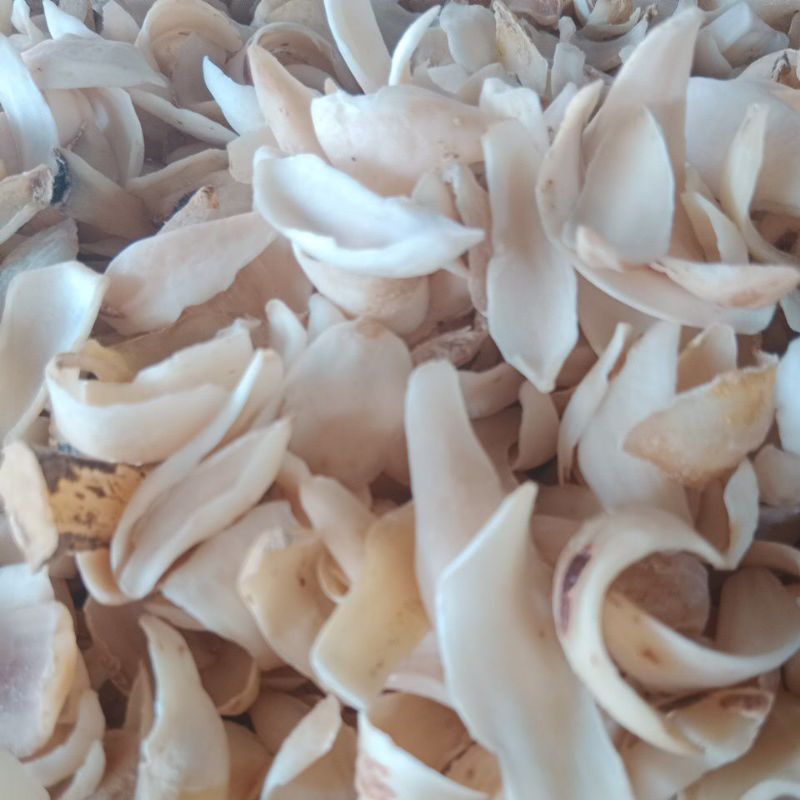 

Pai Hek / Pek Hap 50gr
