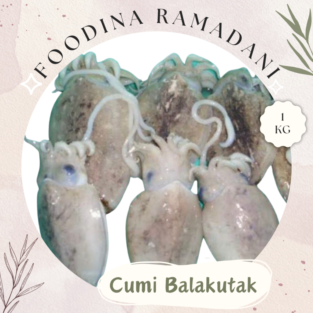 

CUMI SOTONG Bakalutak - Squid Fresh [ Berat 1.000gr ] Harga Per KG