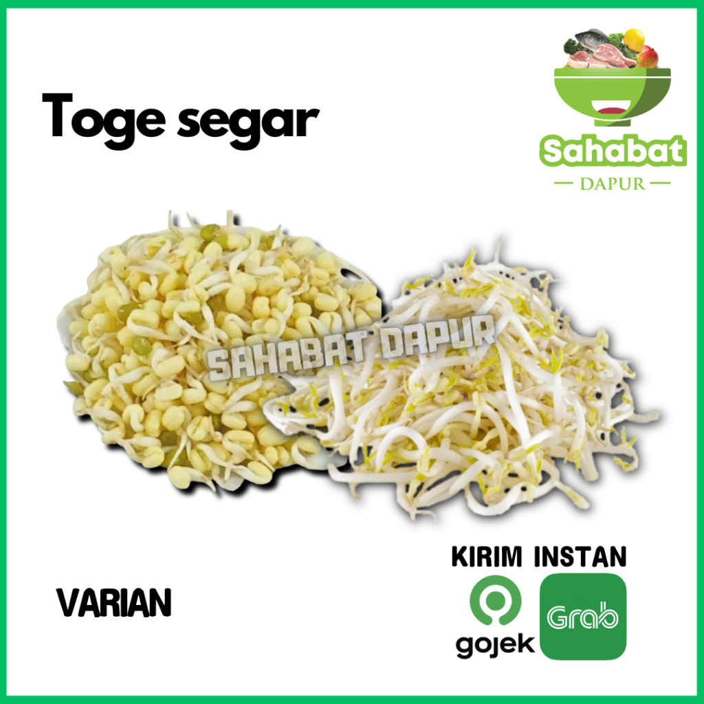 

Toge / Kecambah / Toge Kecil / Toge Rawon / Toge Baby 250gr & 500gr - Sahabatdapur