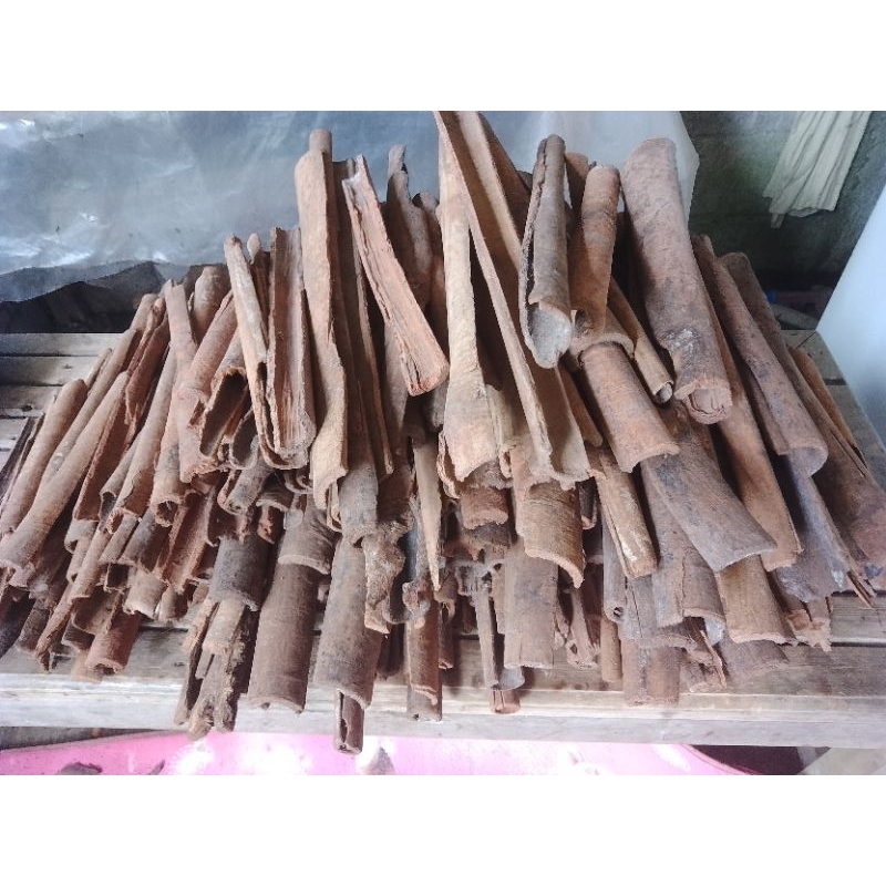 

kayu masoyi asli dari Papua