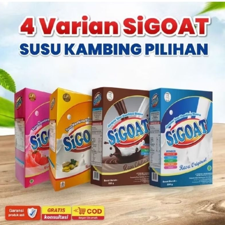 

Sigoat Etawa susu kambing/etawa sigoat